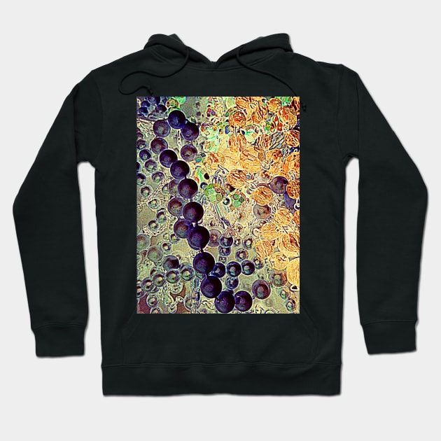 Vintage Beads or Molecules Hoodie by Alchemia